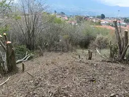 View 4