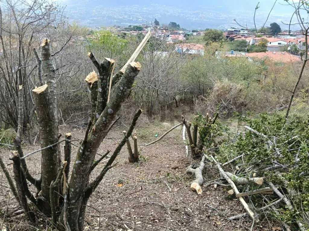 Venta Terreno Tucape - 5