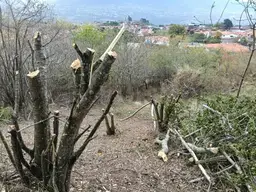 View 5