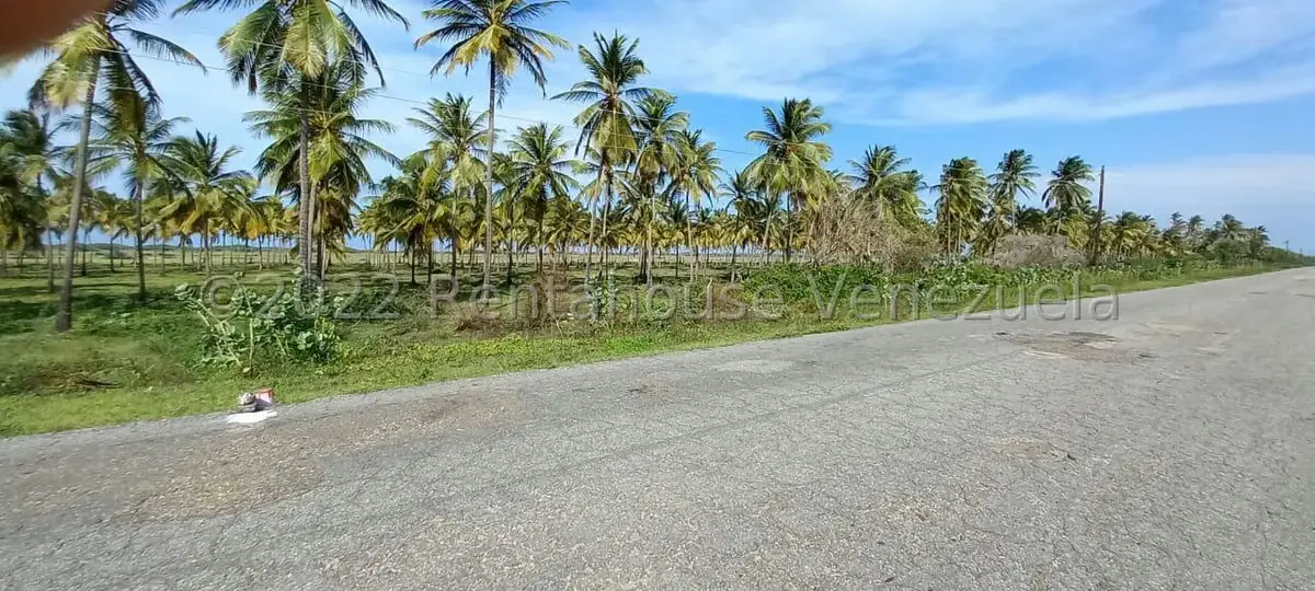 Terreno (Finca) en Venta en Boca del Mangle, Falcon - 2