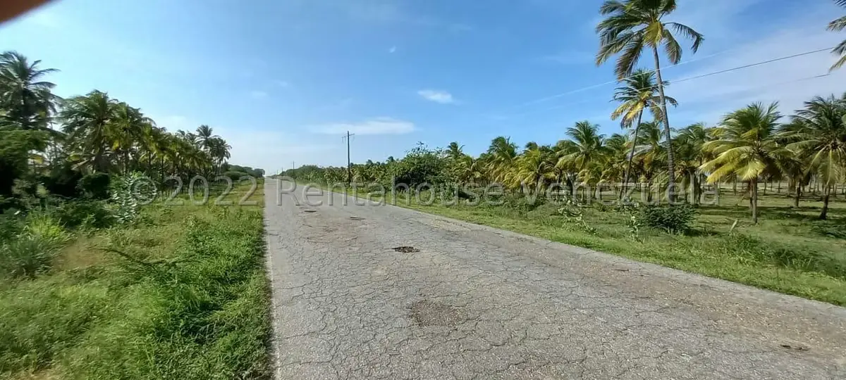 Terreno (Finca) en Venta en Boca del Mangle, Falcon - 3