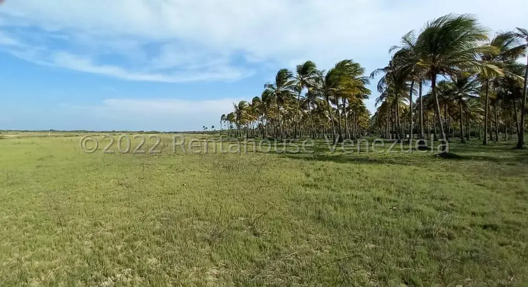 Terreno (Finca) en Venta en Boca del Mangle, Falcon - 4