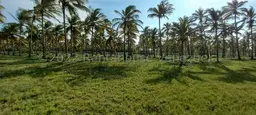Vista 5