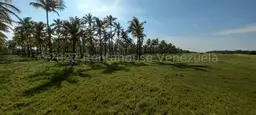 Vista 6