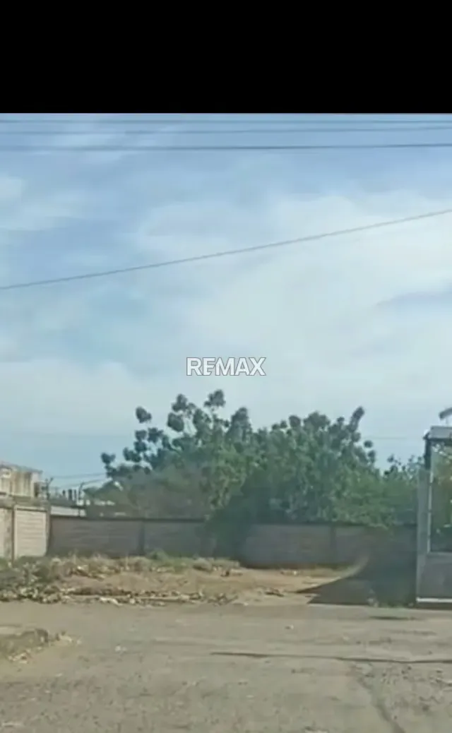 Terreno