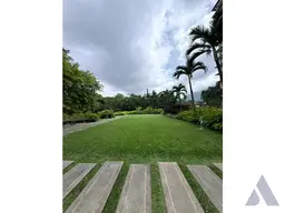Vista 14
