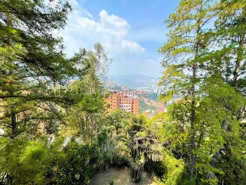 Apartamento (1 Nivel) en Venta en Los Naranjos del Cafetal, Distrito Metropolitano - 47