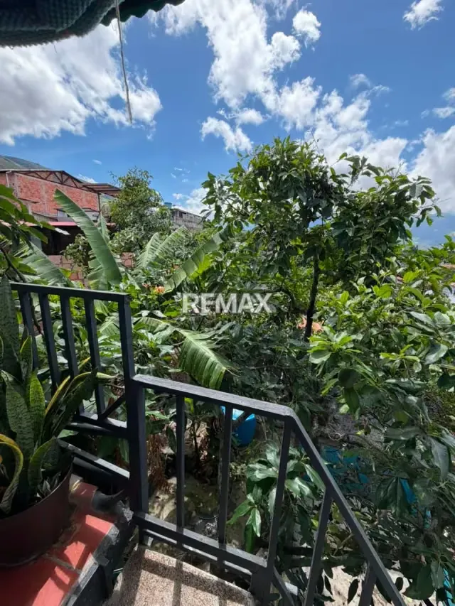Apartamento. Venta. Palmira - 19