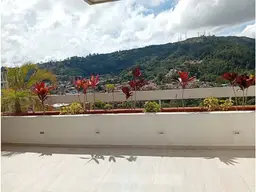 Vista 40