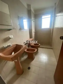 Vista 19