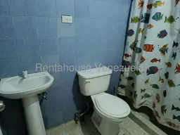 Vista 20