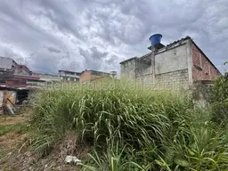 Vista 6