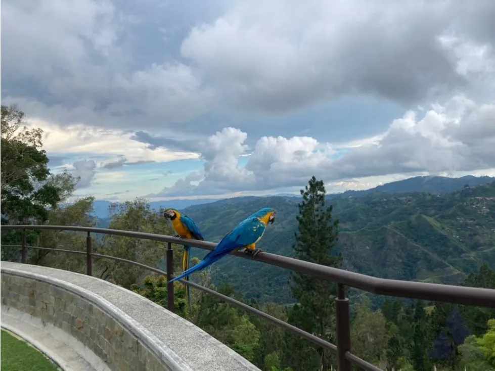 Vendo impresionante quinta 1700m2 Monte Elena - Baruta 8038 - 2