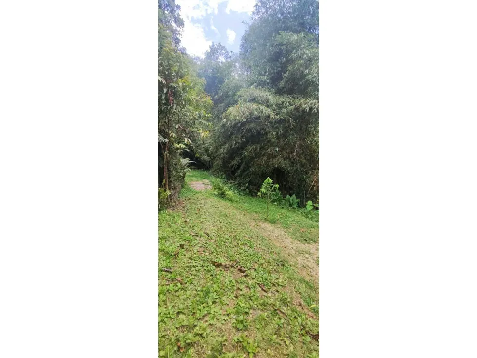Vendo casa 350m2 Oripoto 0059 - 5