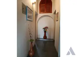 Vista 20