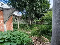 Vista 24