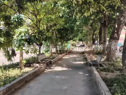 Vista 14