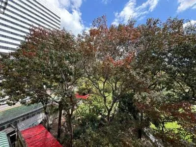 APARTAMENTO EN ALQUILER UBICADO EN ALTAMIRA - 9