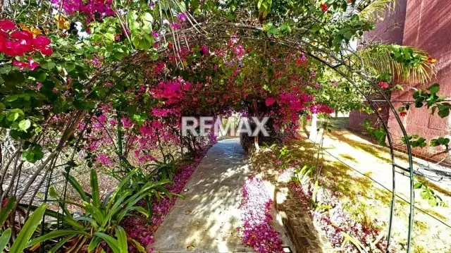 APARTAMENTO ACOGEDOR Y MODERNO, EN URBANIZACIÓN MANANTIAL DE GUAYAMURI - 11