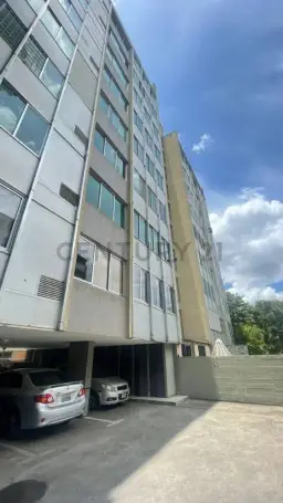 Vista 13