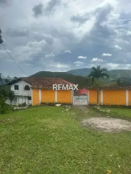 View 6