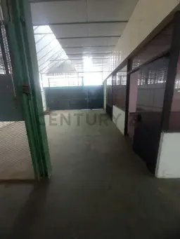 Vista 4