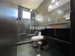 Vista 5