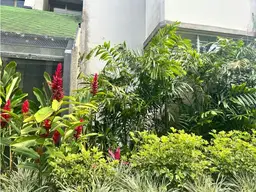 View 23