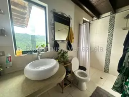 Vista 19