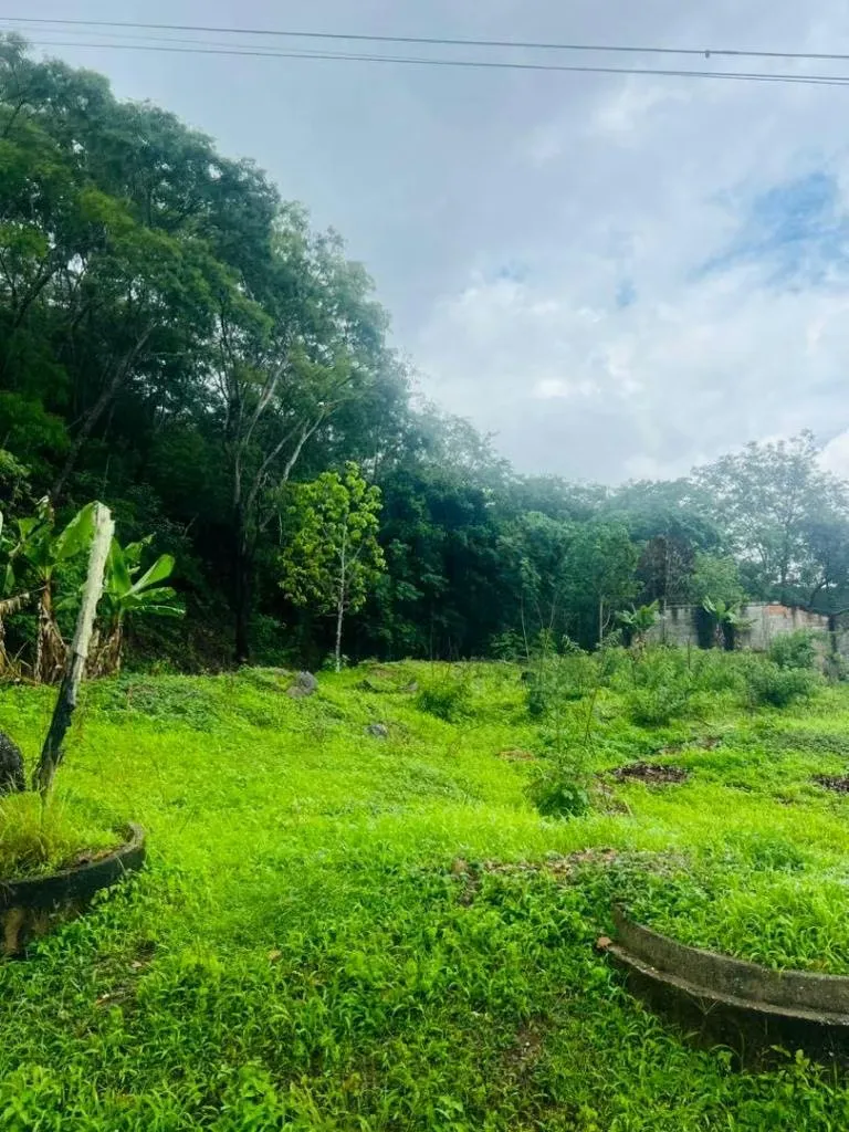 TERRENO EN COLINAS DE GUATAPARO