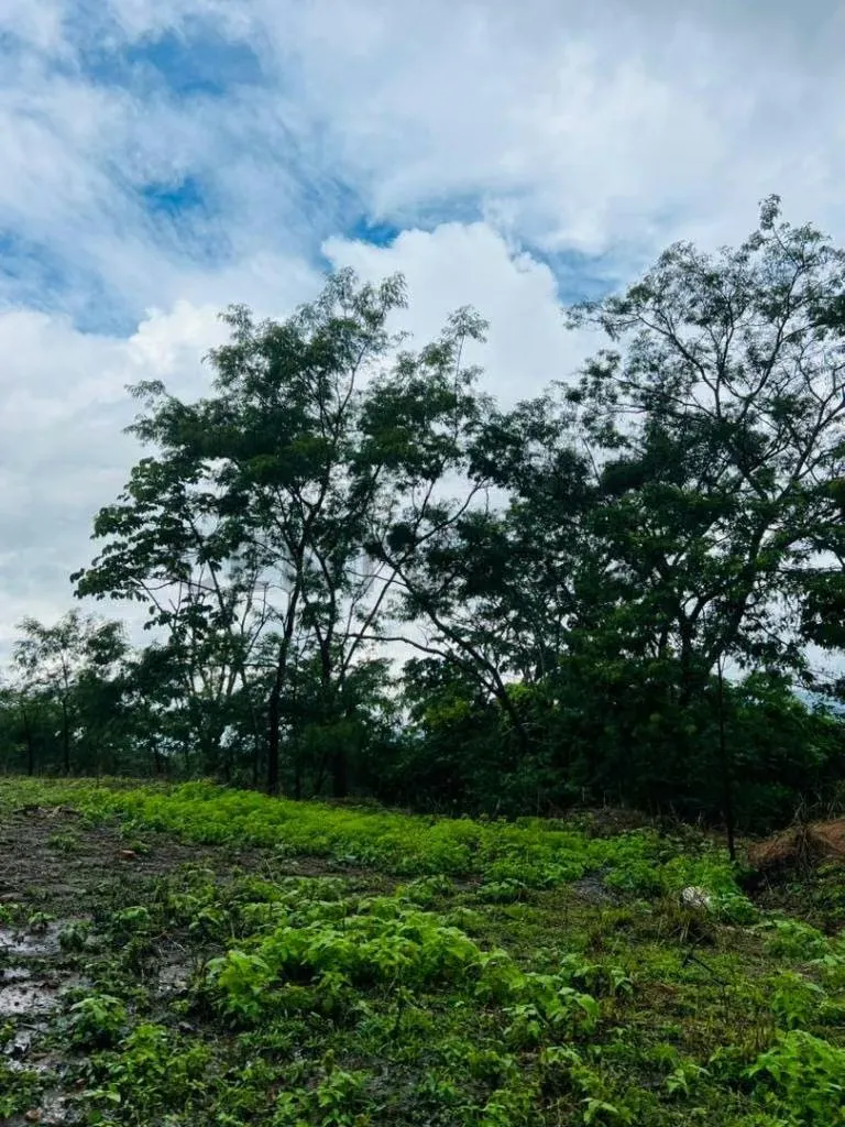 TERRENO EN COLINAS DE GUATAPARO - 11