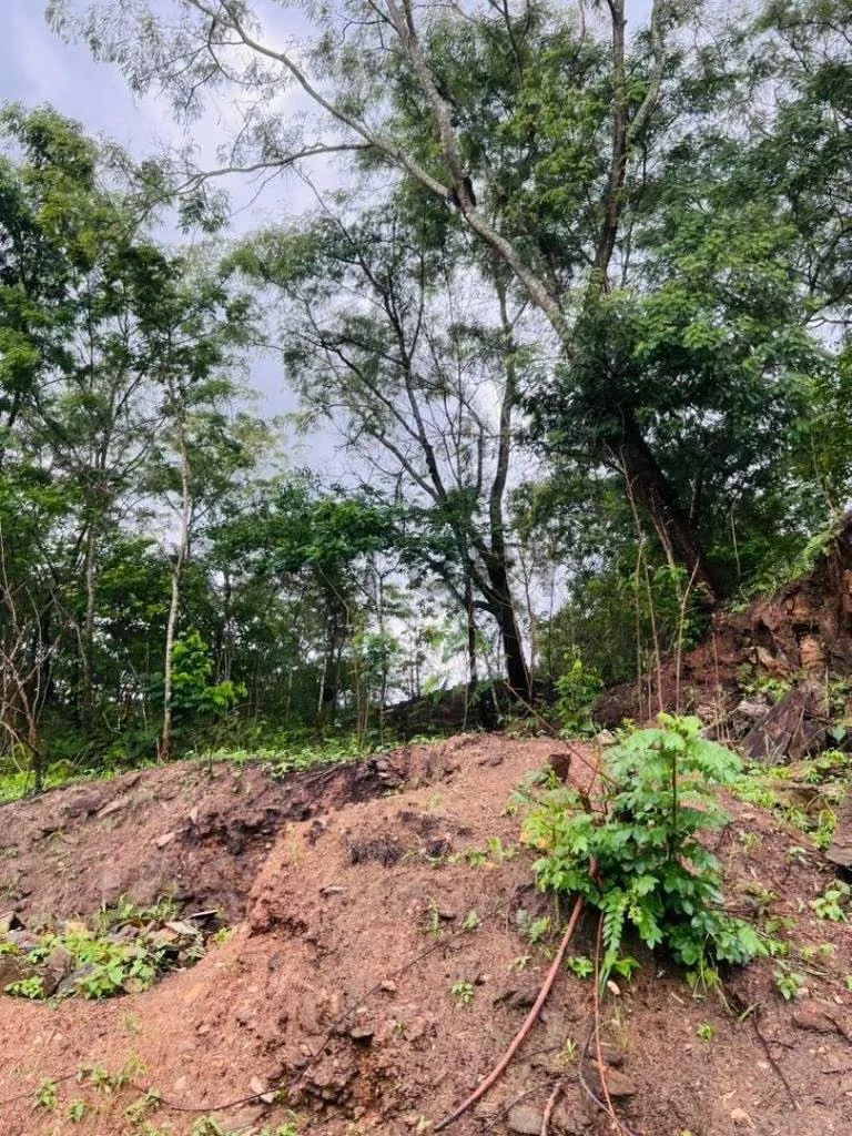 TERRENO EN COLINAS DE GUATAPARO - 14