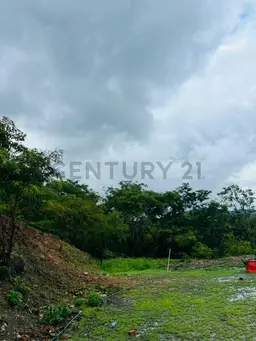 Vista 3