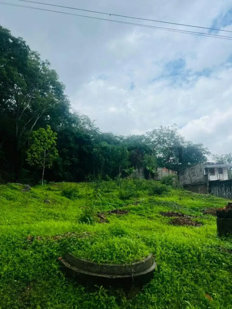 TERRENO EN COLINAS DE GUATAPARO - 4