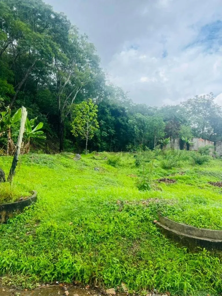 TERRENO EN COLINAS DE GUATAPARO - 5