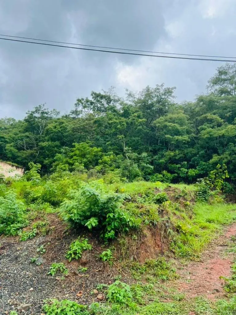 TERRENO EN COLINAS DE GUATAPARO - 6