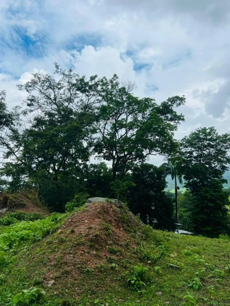 TERRENO EN COLINAS DE GUATAPARO - 7