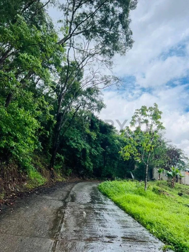 TERRENO EN COLINAS DE GUATAPARO - 8