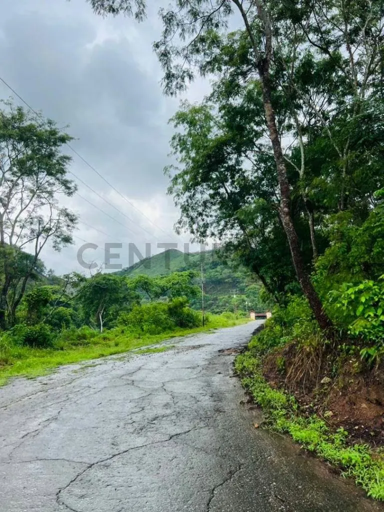 TERRENO EN COLINAS DE GUATAPARO - 9