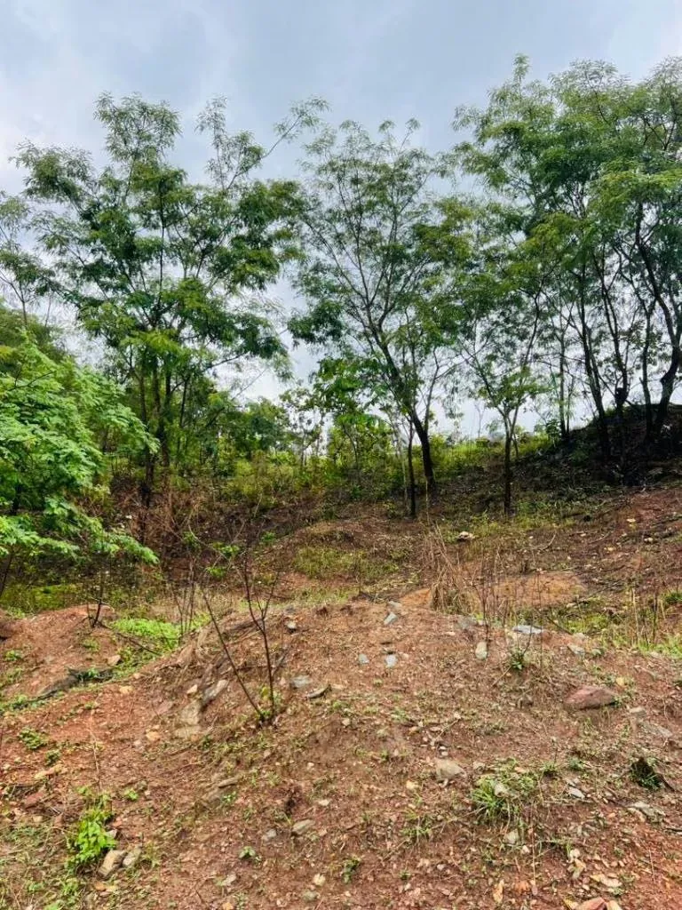 TERRENO EN COLINAS DE GUATAPARO - 10