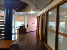 Vista 25