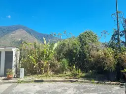 View 1