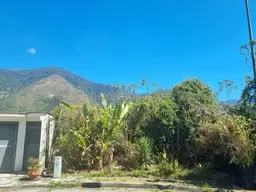 View 5