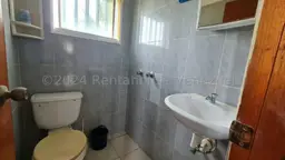 Vista 19