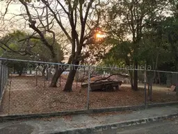 View 16