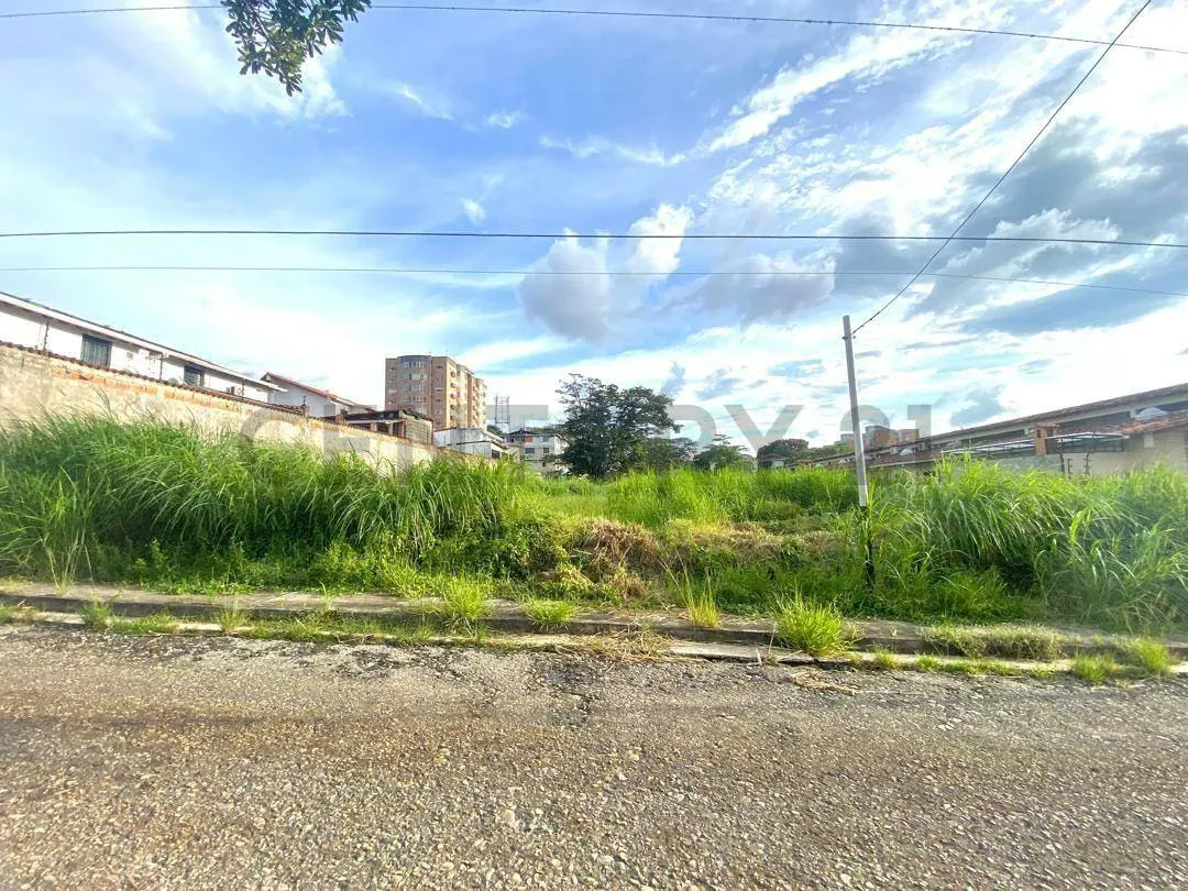 Venta Terreno Av. Ferrero Tamayo Botalon - 14