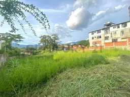 View 4