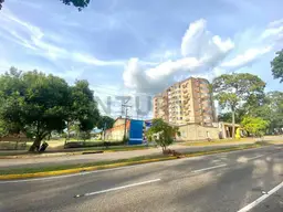 View 8
