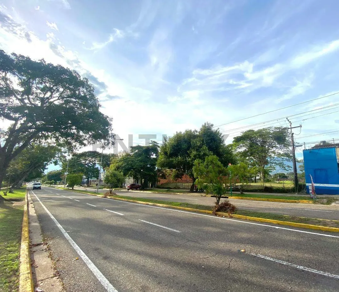 Venta Terreno Av. Ferrero Tamayo Botalon - 9