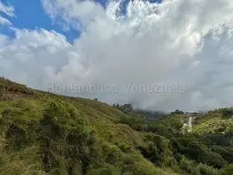 Vista 24